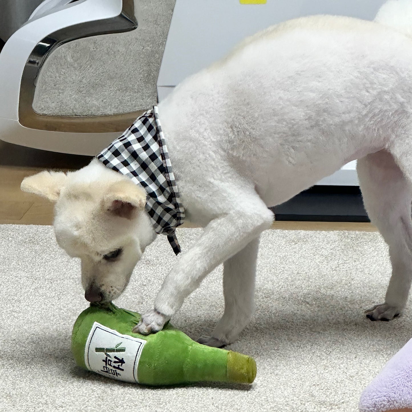 (Perro&Gato) Puppy Soju Snuffle Toys