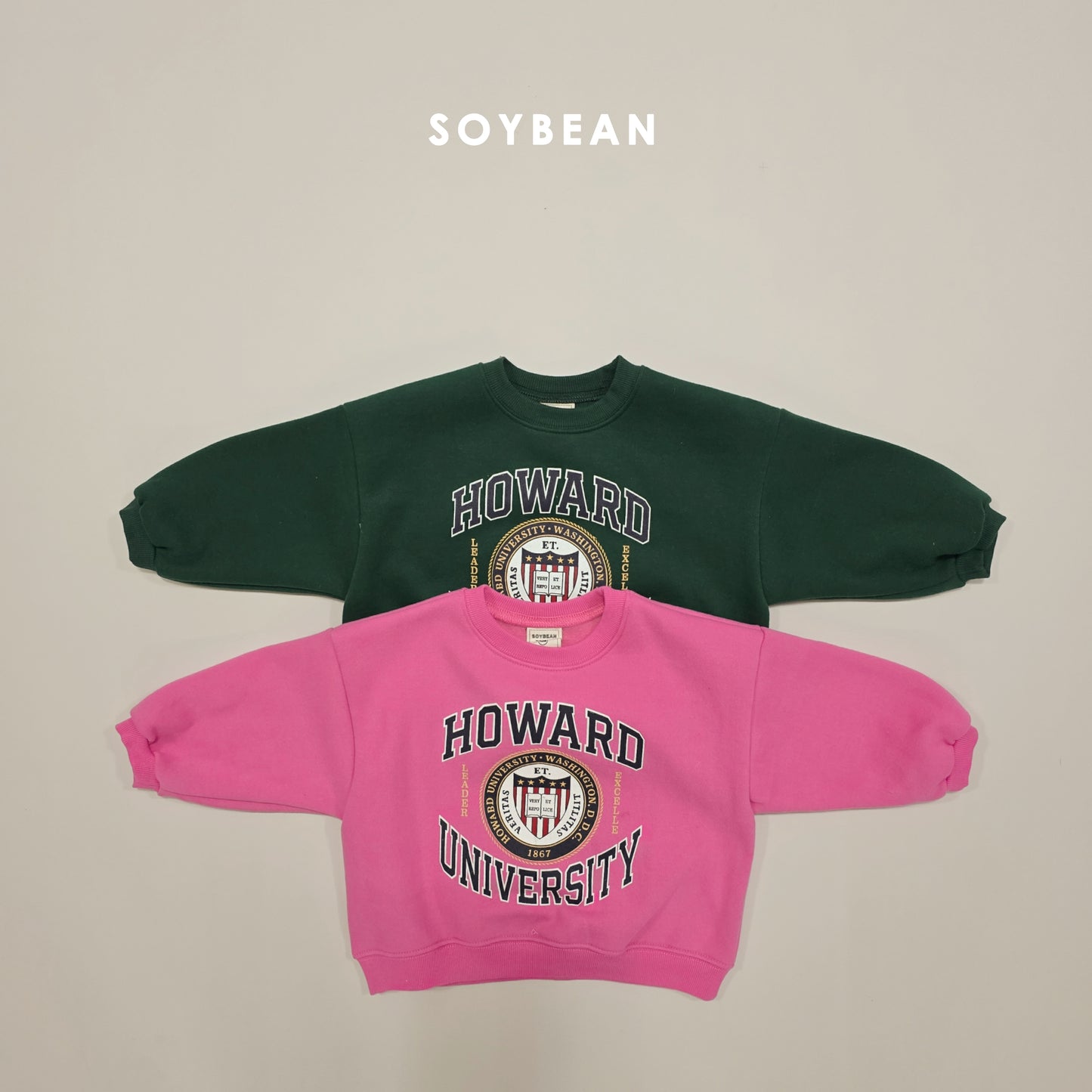 (Pre-order) Soybean Kids Winter - Howard Fleece-Lined Sweatshirt 하워드양기모맨투맨 (2 Colors)