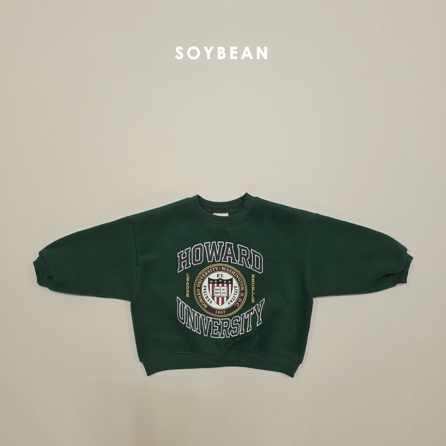 (Pre-order) Soybean Kids Winter - Howard Fleece-Lined Sweatshirt 하워드양기모맨투맨 (2 Colors)