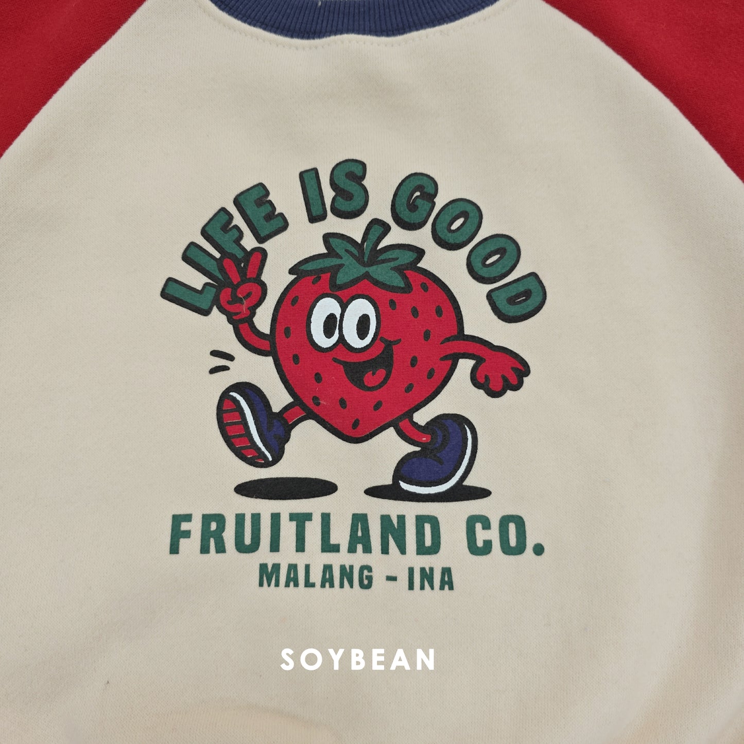 (Pre-order) Soybean Kids Winter - Fruit Raglan Fleece-Lined Sweatshirt 과일양기모맨투맨 (2 Colors)