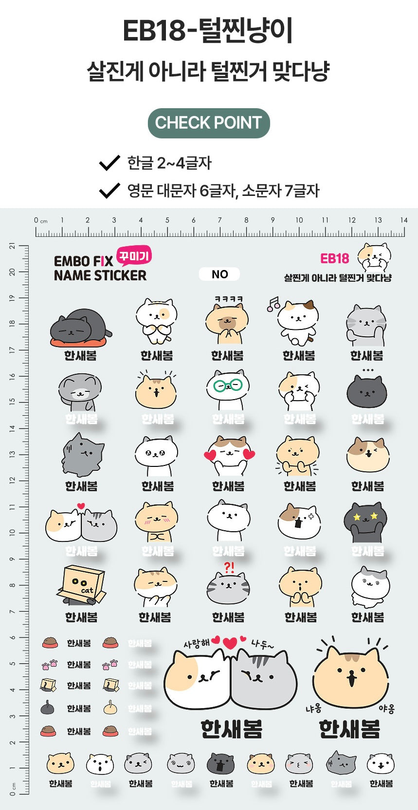 (Pre-order) Personalized Clear Embossed Waterproof Name Stickers (Characters)