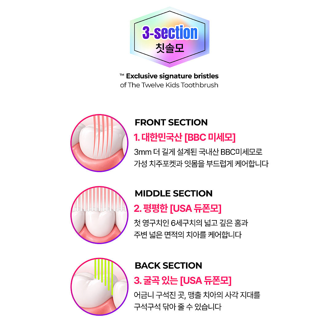 (The Twelve) Kids’ Toothbrush Set: Step 3 (Kids) (12pcs)