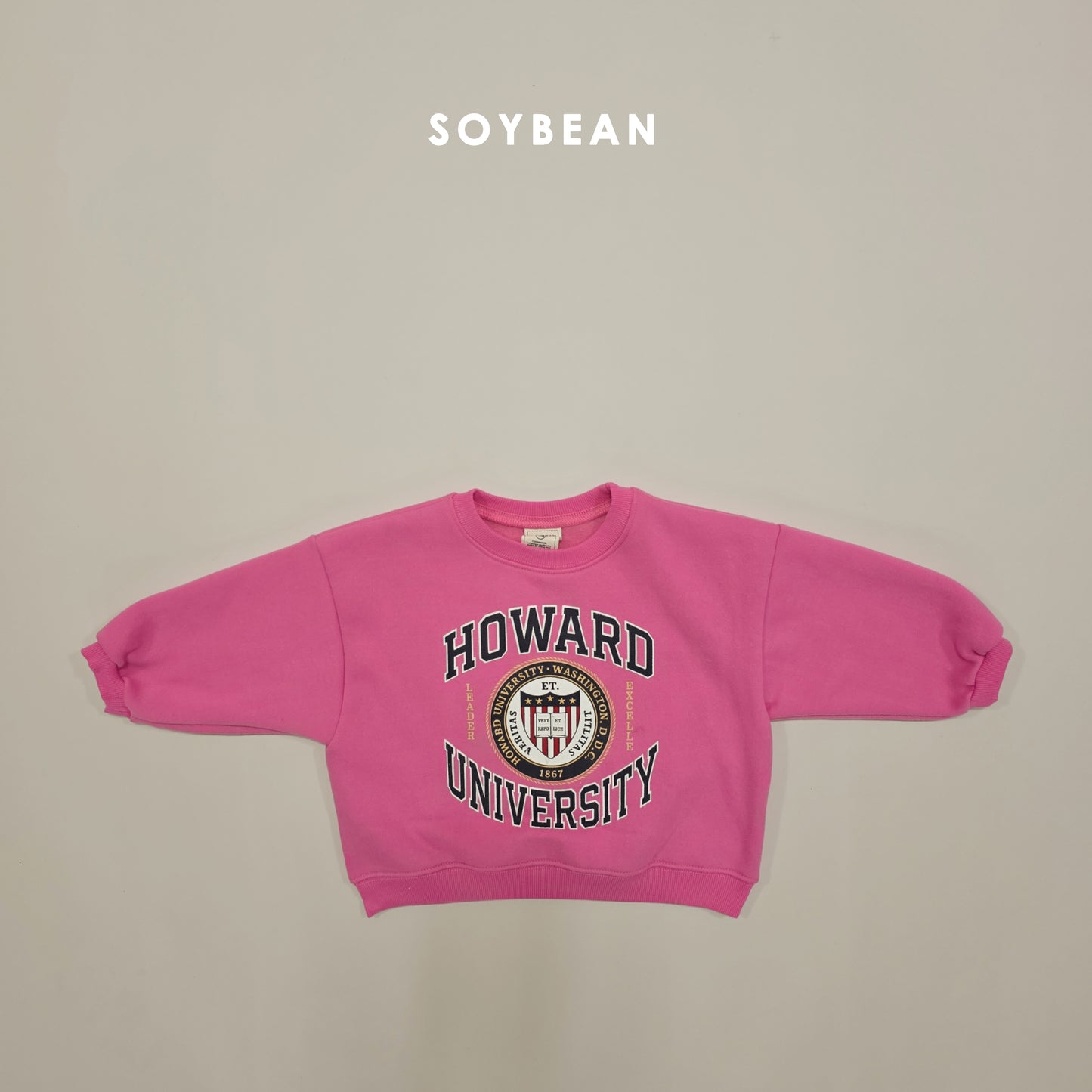 (Pre-order) Soybean Kids Winter - Howard Fleece-Lined Sweatshirt 하워드양기모맨투맨 (2 Colors)