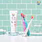 (The Twelve) Kids’ Toothbrush Set: Step 3 (Kids) (12pcs)
