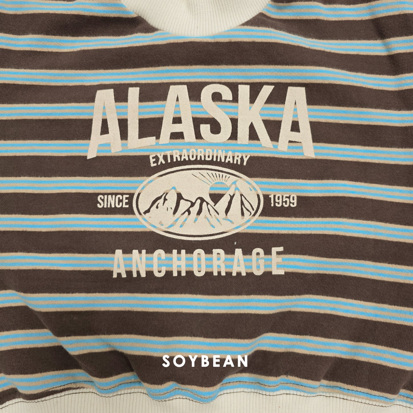 (Pre-order) Soybean Kids Winter - Alaska Fleece-Lined Mock Neck Sweatshirt 알래스카양기모맨투맨 (2 Colors)